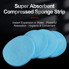 sponge strip