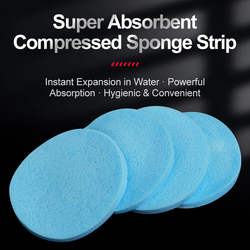 sponge strip