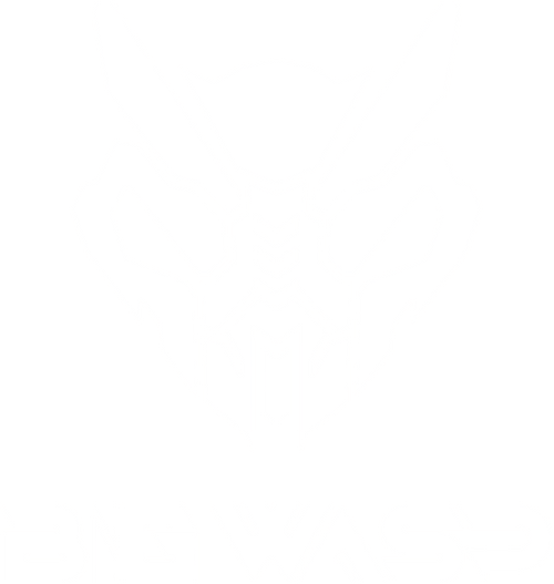 BigWasp