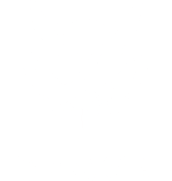 BigWasp